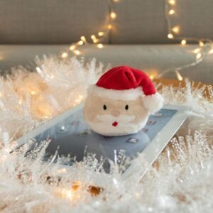 SCHMOOZIES®  SCREEN CLEANER  TOY 2  in 1